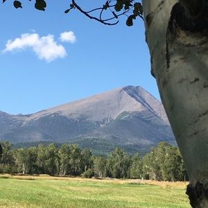 Meet your Posher, Rita